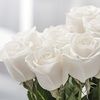 marleenflowers